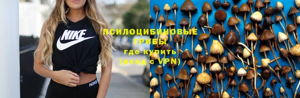 spice Верхний Тагил
